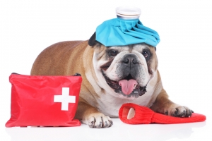 ADIYAMAN-ALTINŞEHİR Acil Müdahaleler ve Acil Servis